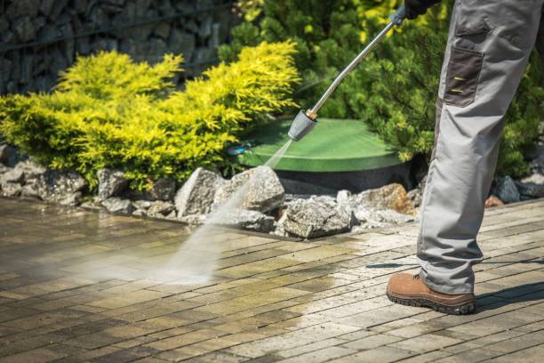 Best House Exterior Washing  in Eagan, MN